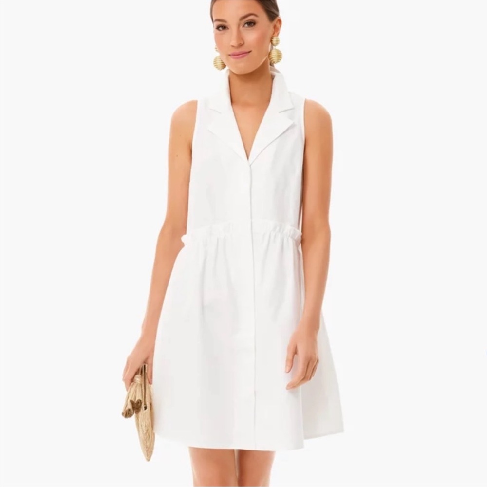 Tuckernuck Sleeveless royal shirt dress size small